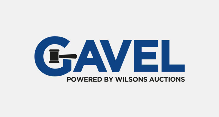 Gavel - Wilsons Auctions